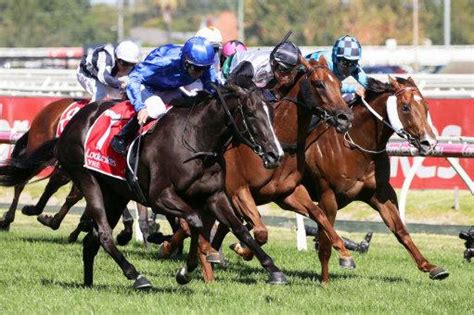 Blue Diamond Stakes Barrier Draw Stats & Info .